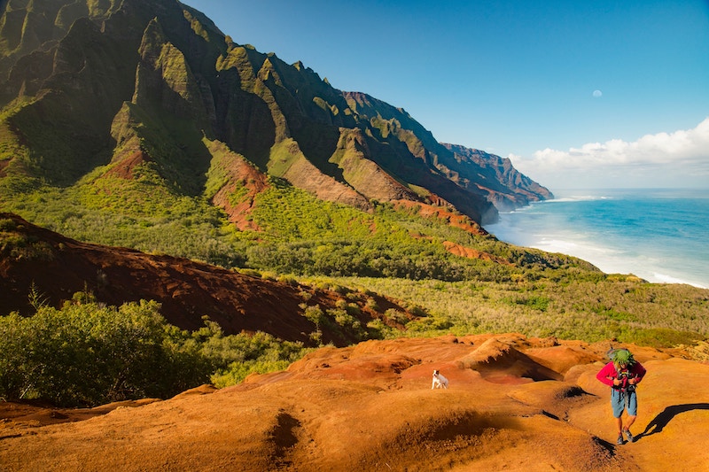 The best way to explore the most scenic areas of Kauai is by taking a guided tour