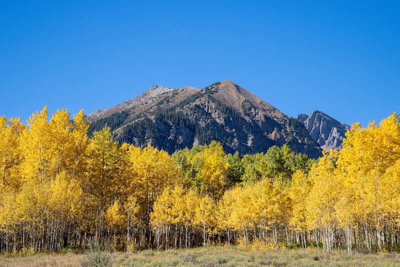 November in Aspen is a transitional month and beginning of the busy winter season.