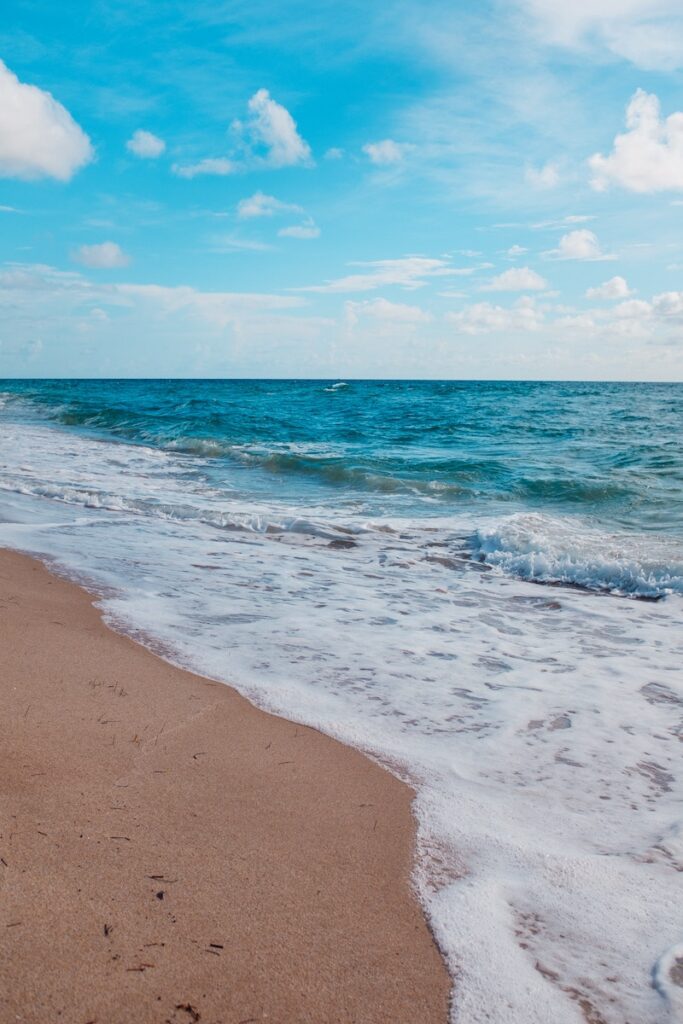 Swimming is one of the best things to do in Fort Lauderdale in December 