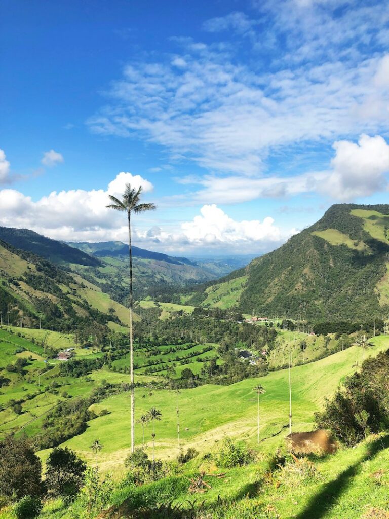 Best things to do in Colombia 